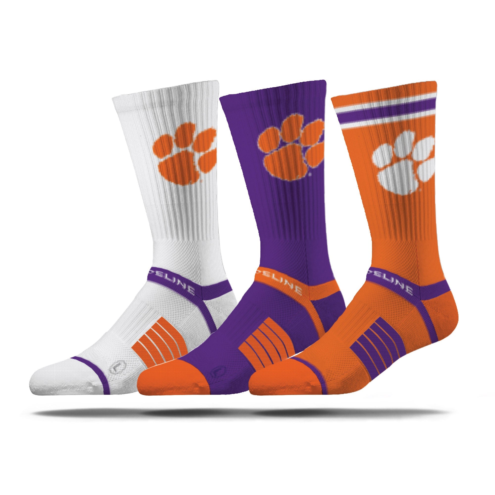 Clemson University