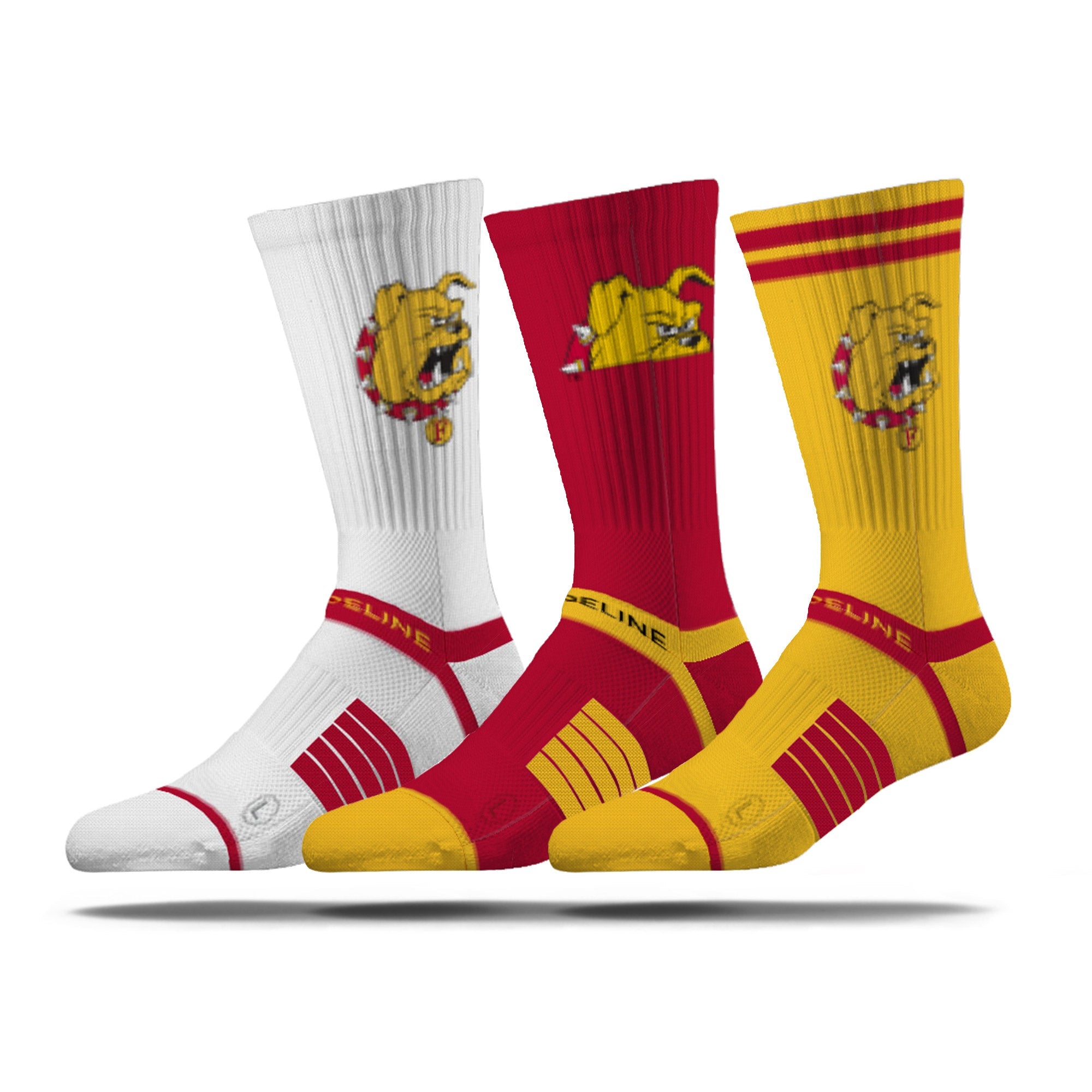 Ferris State University