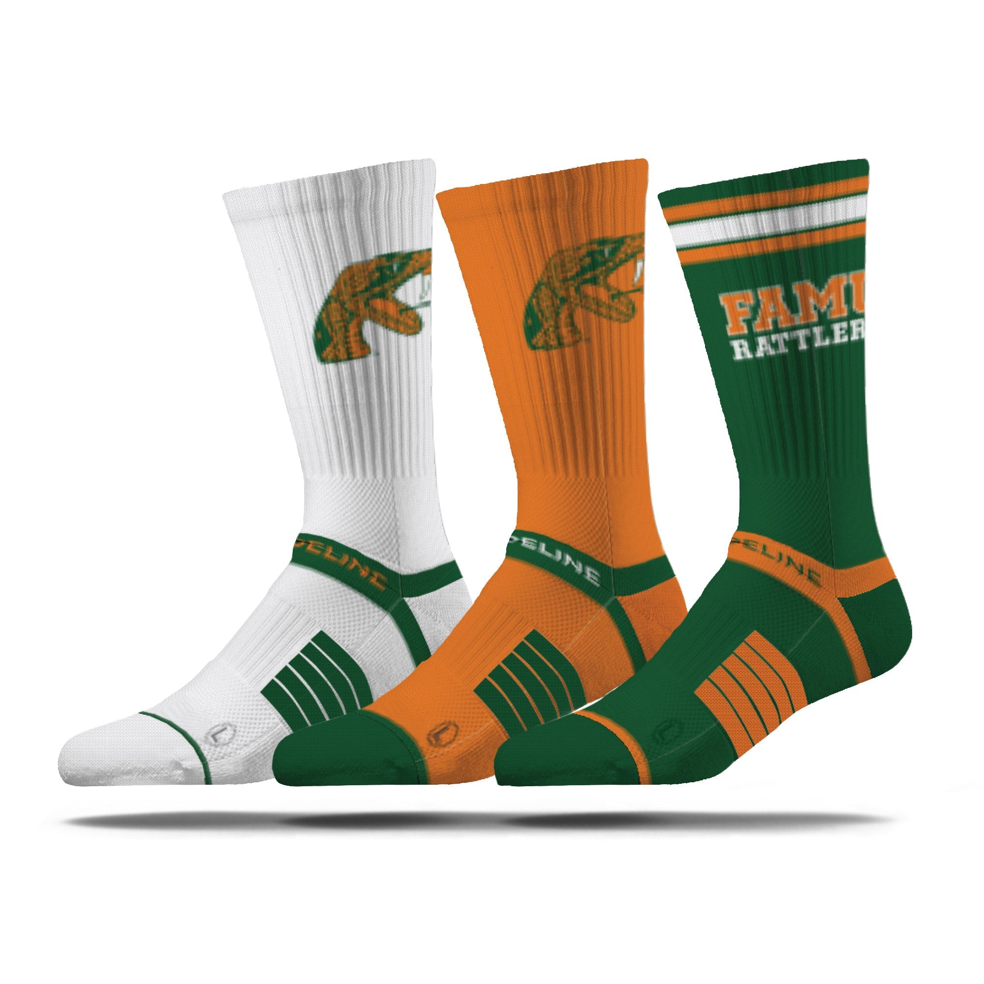 Florida A&M University