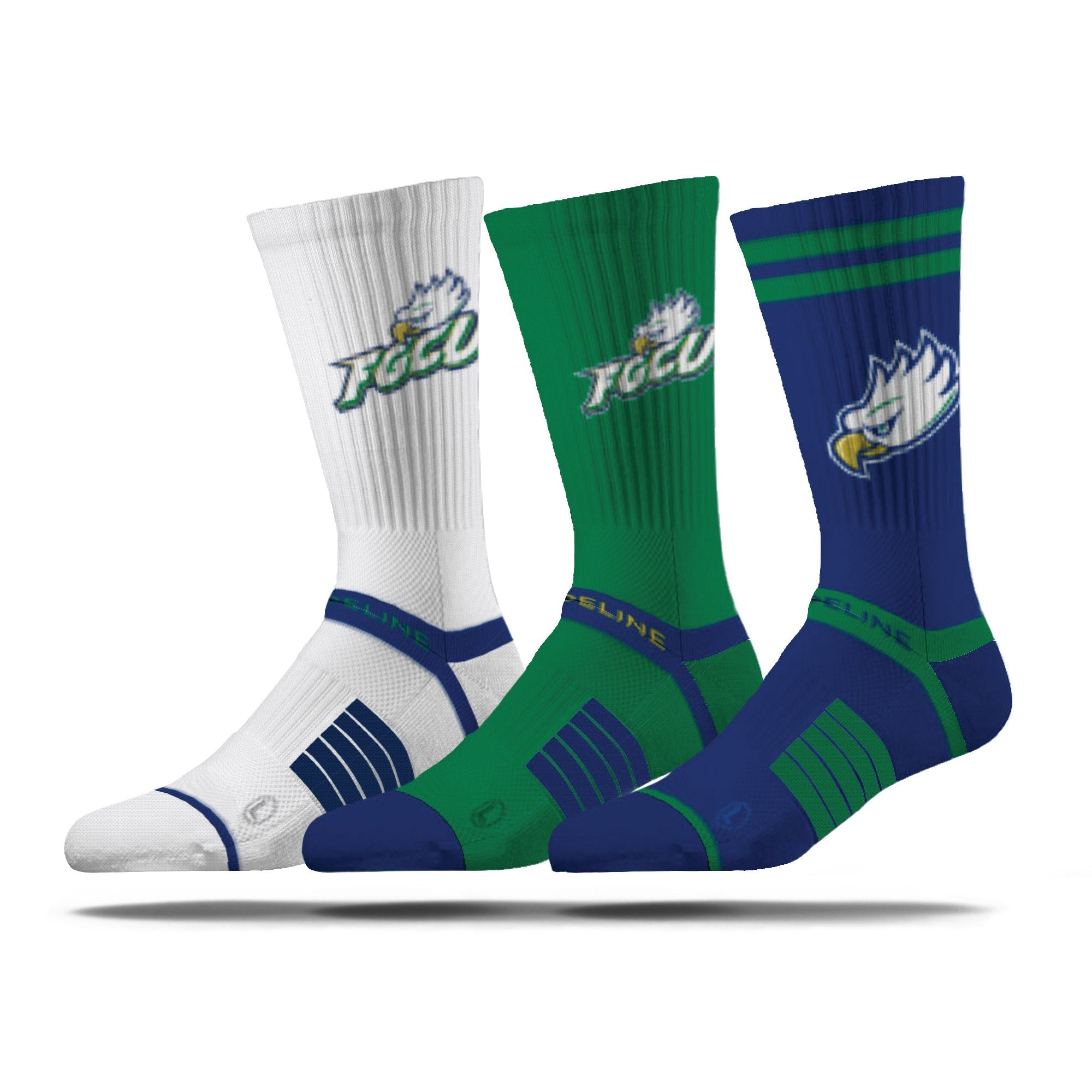 Florida Gulf Coast University