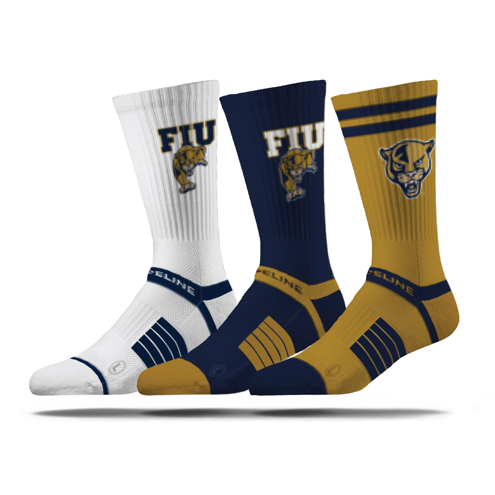 Florida International University
