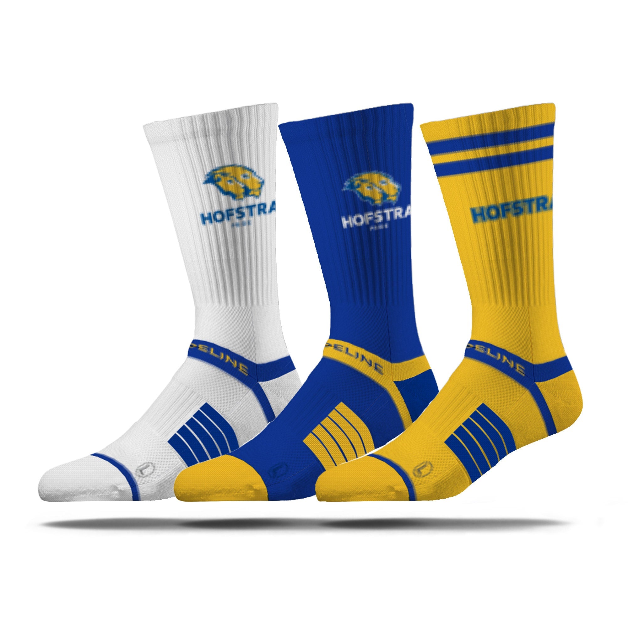 Hofstra University