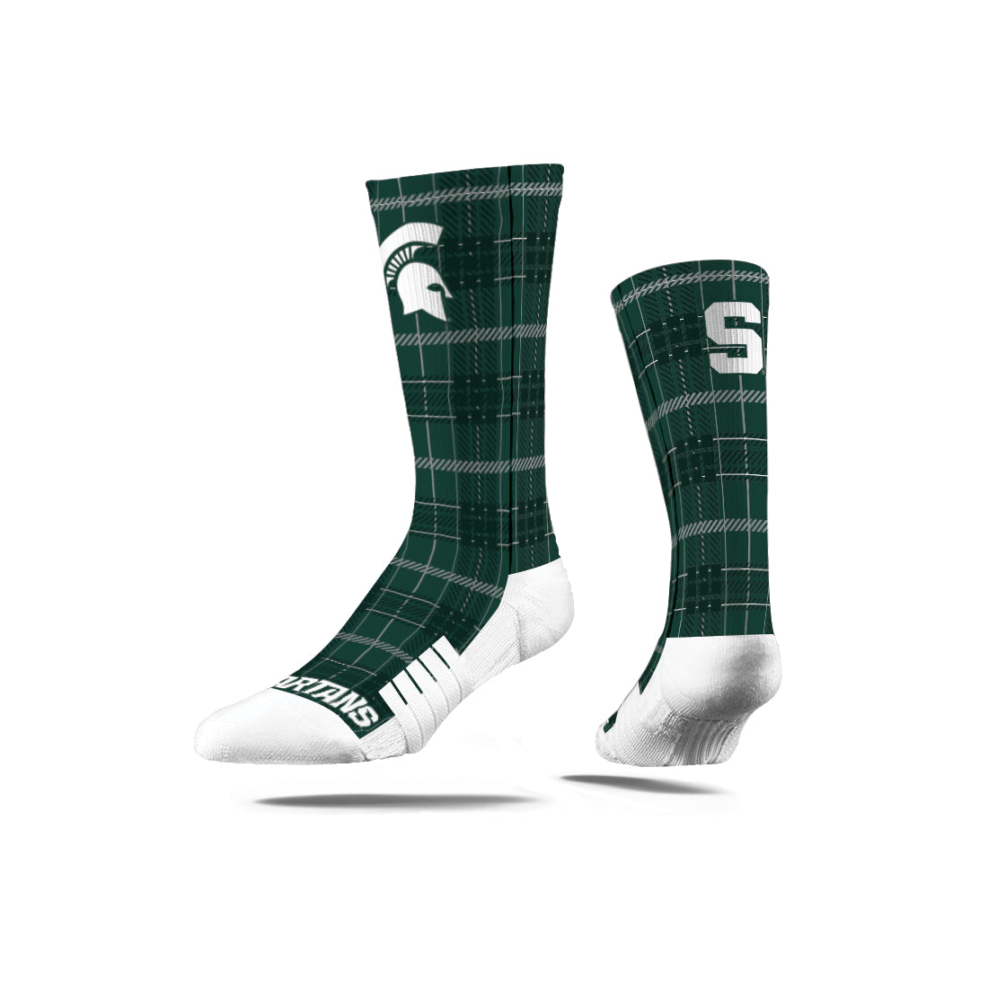 Michigan State University
