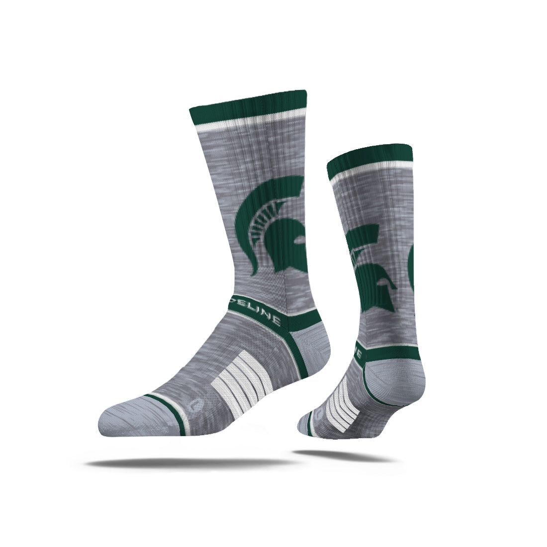 Michigan State University