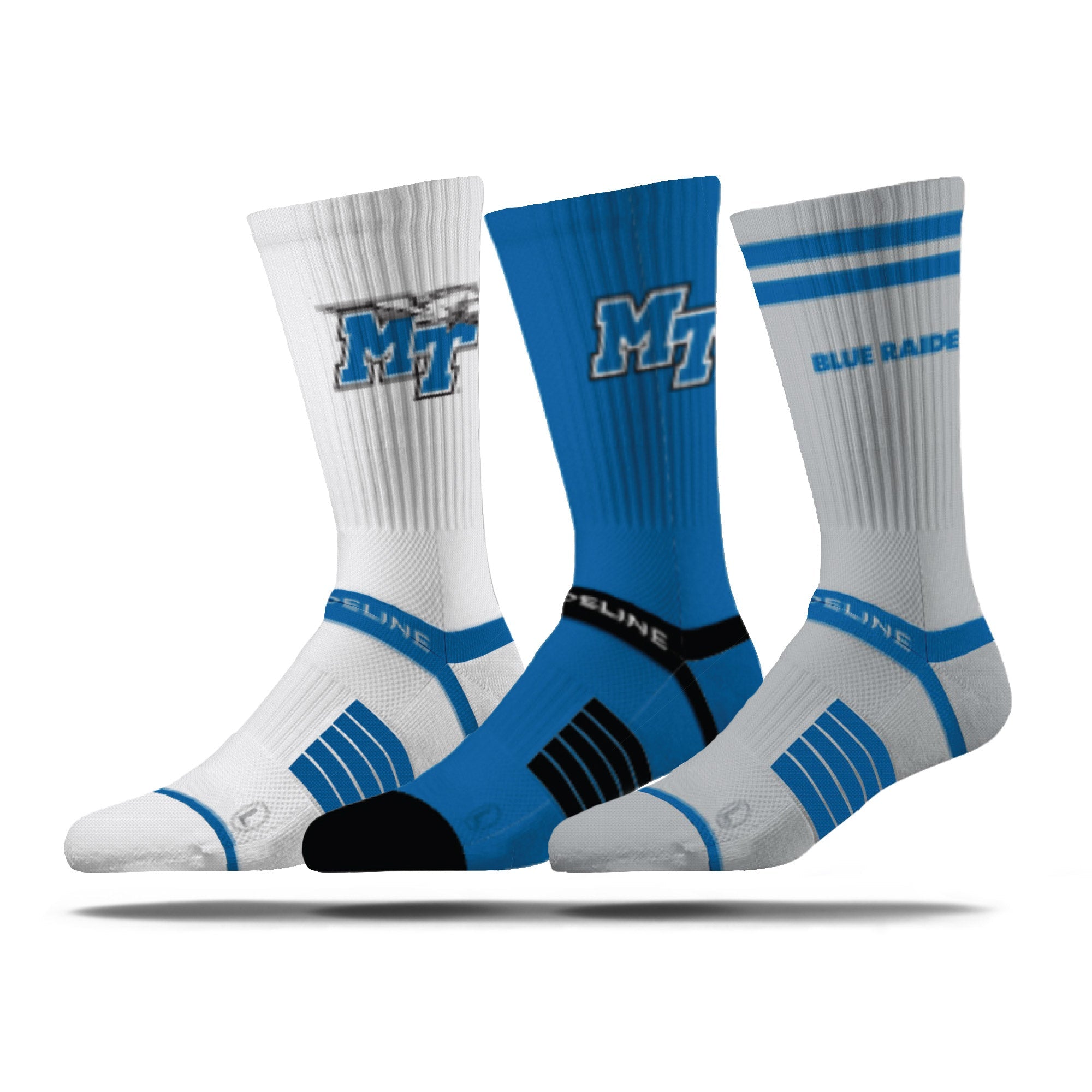 Middle Tennessee State University