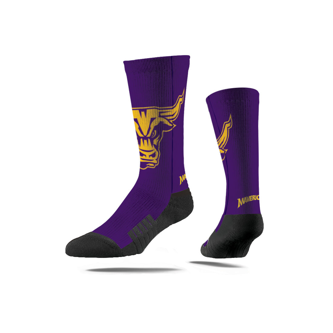 Minnesota State University Mankato