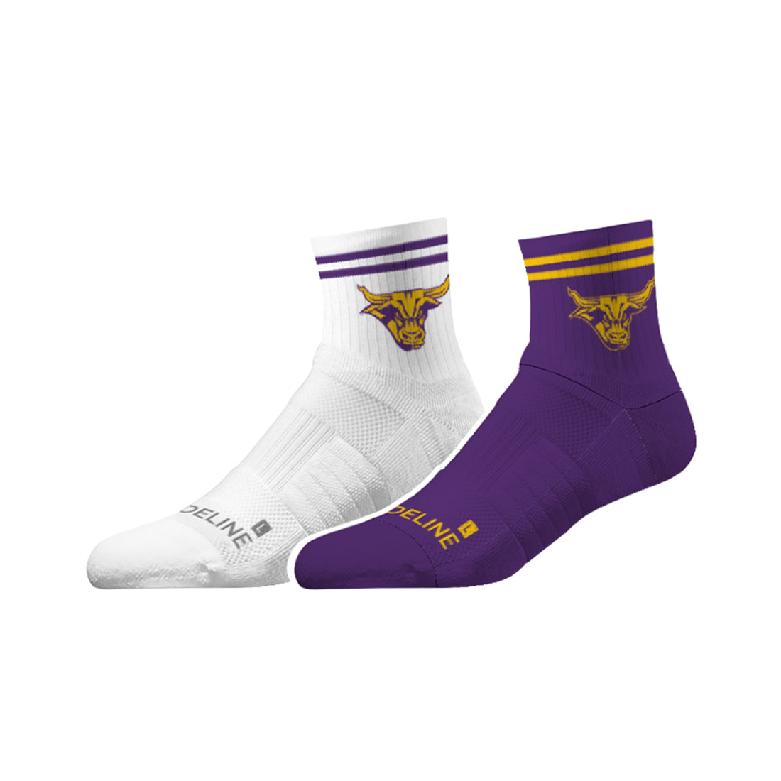 Minnesota State University Mankato