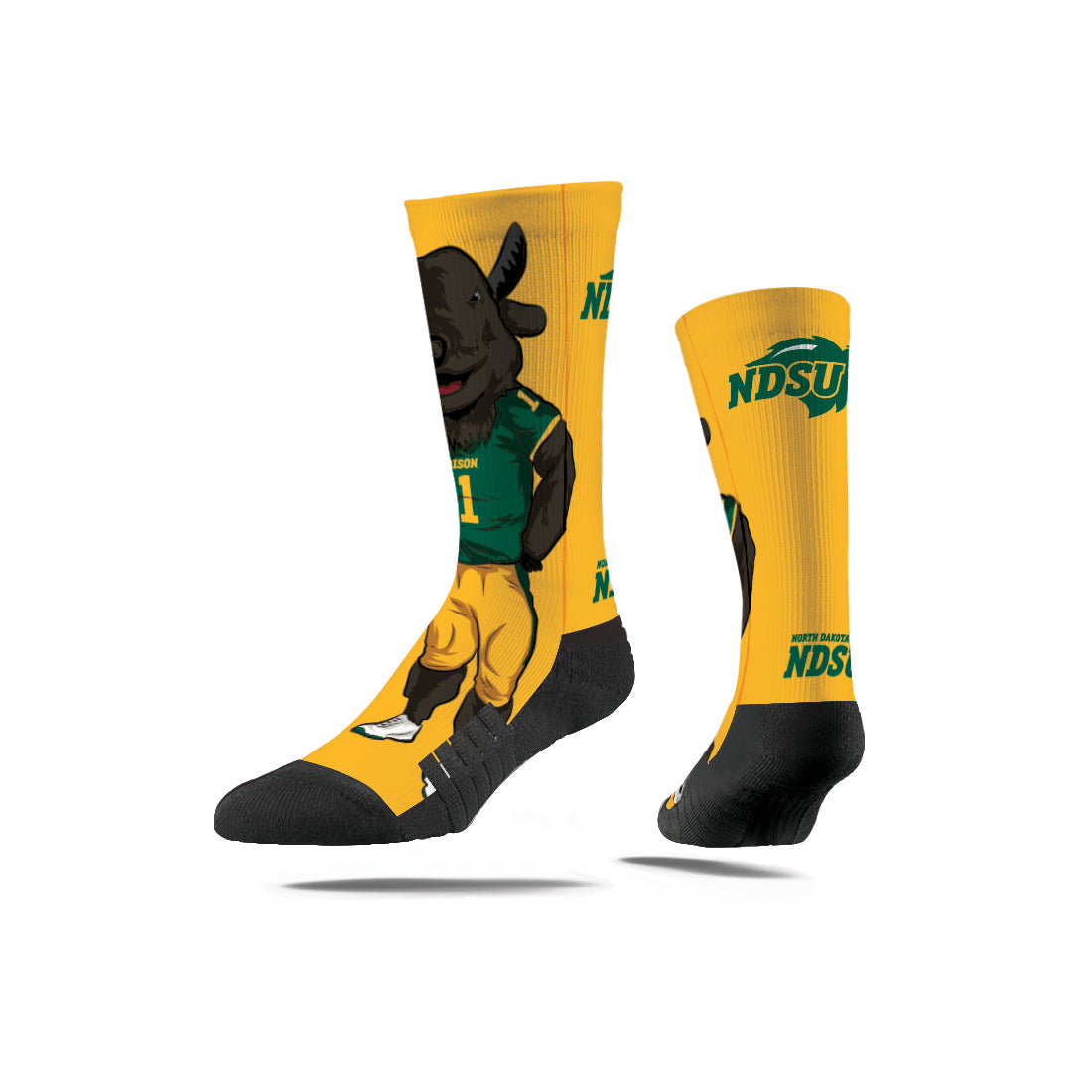 North Dakota State University
