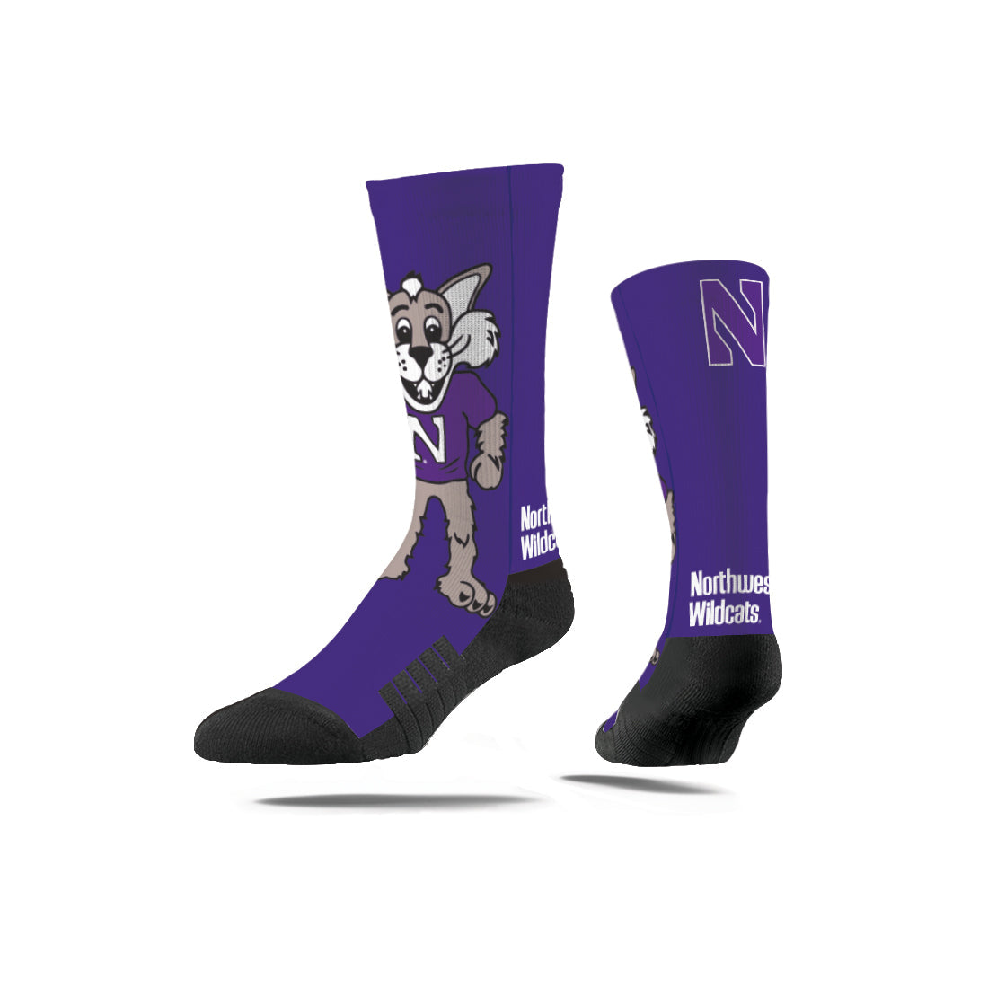 Northwestern University