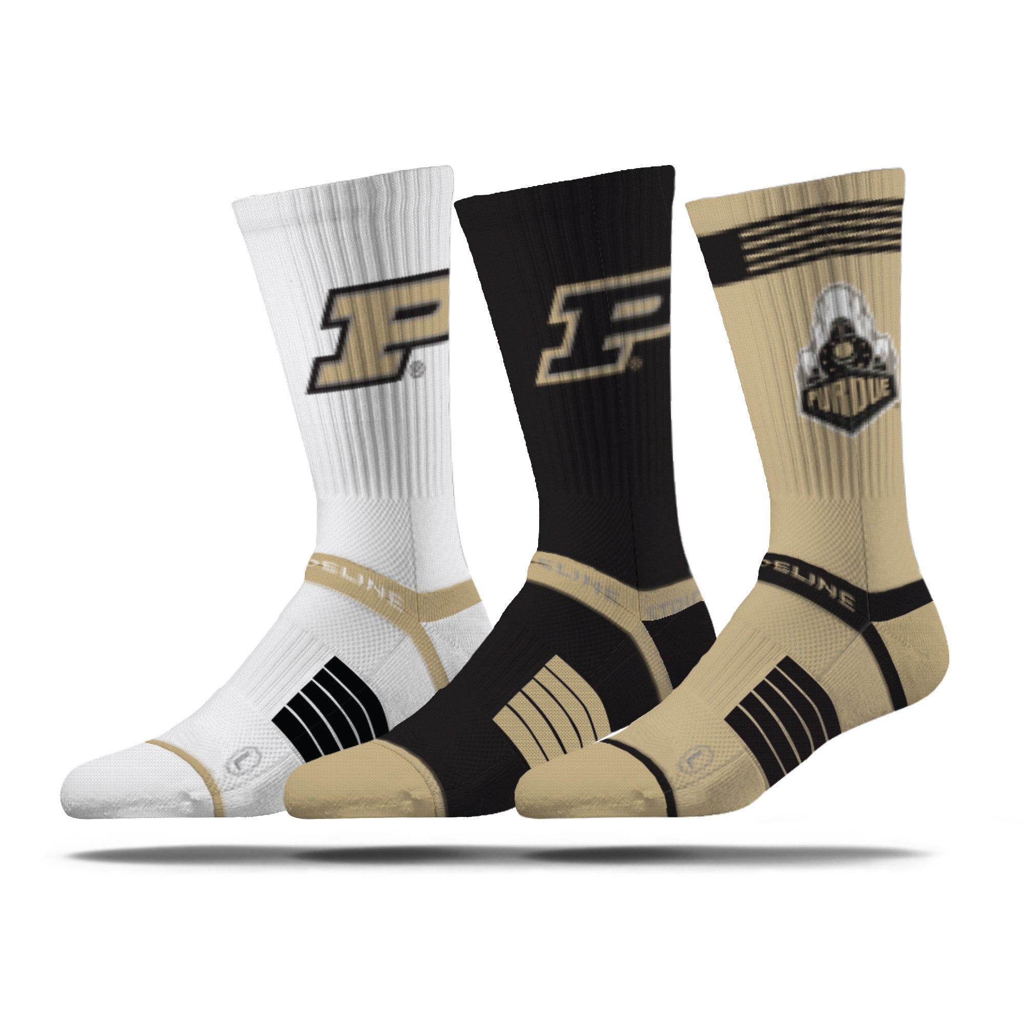Purdue University