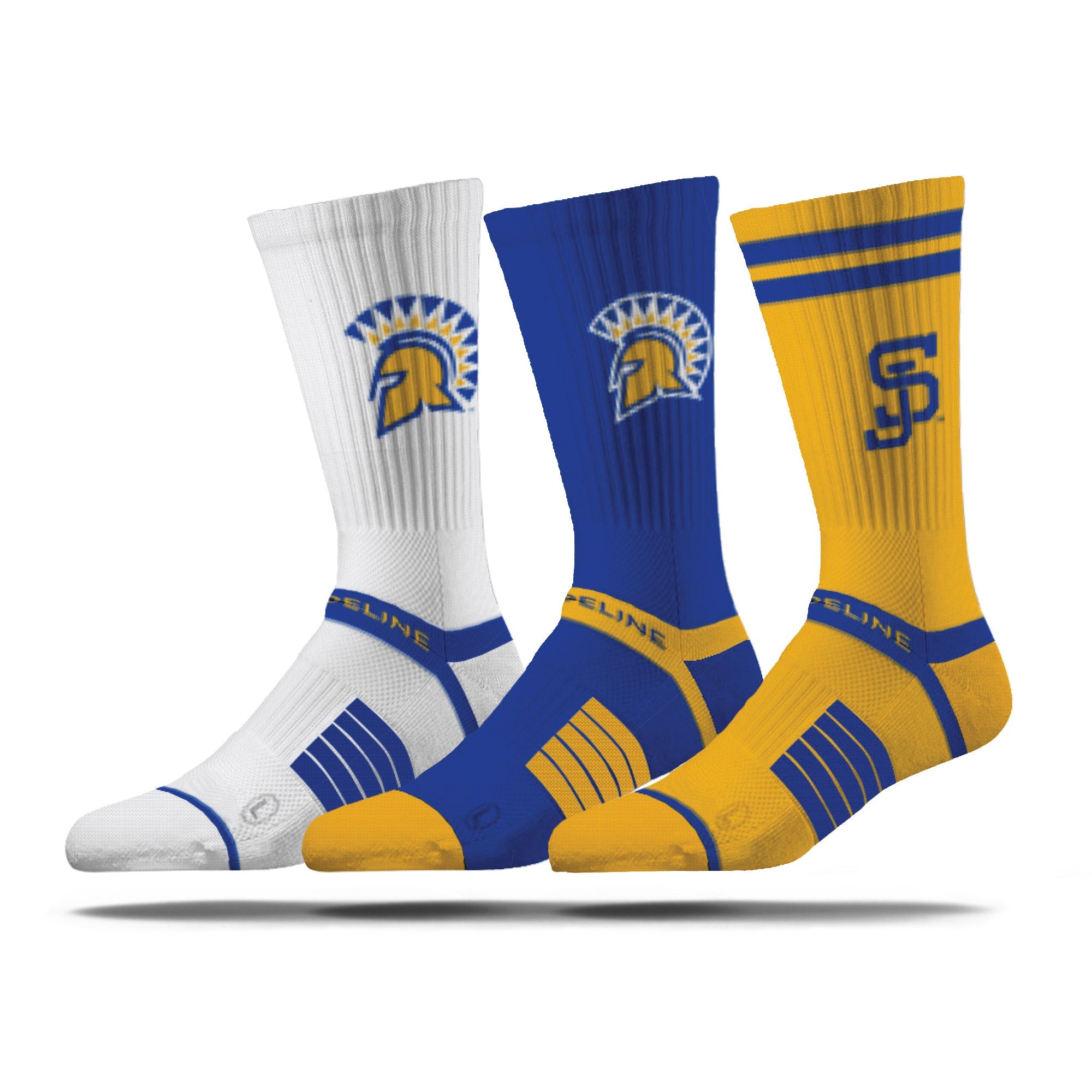 San Jose State University