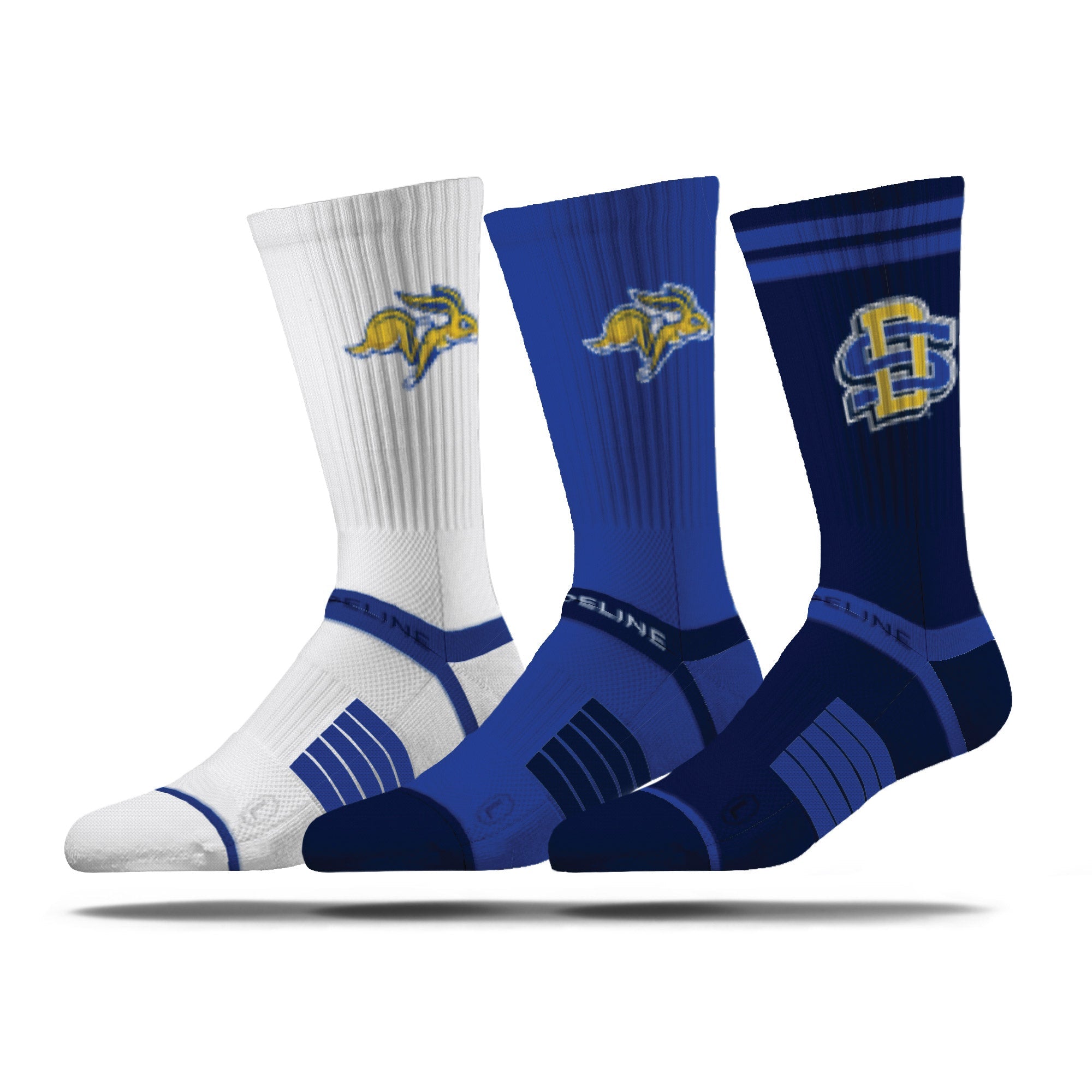 South Dakota State University