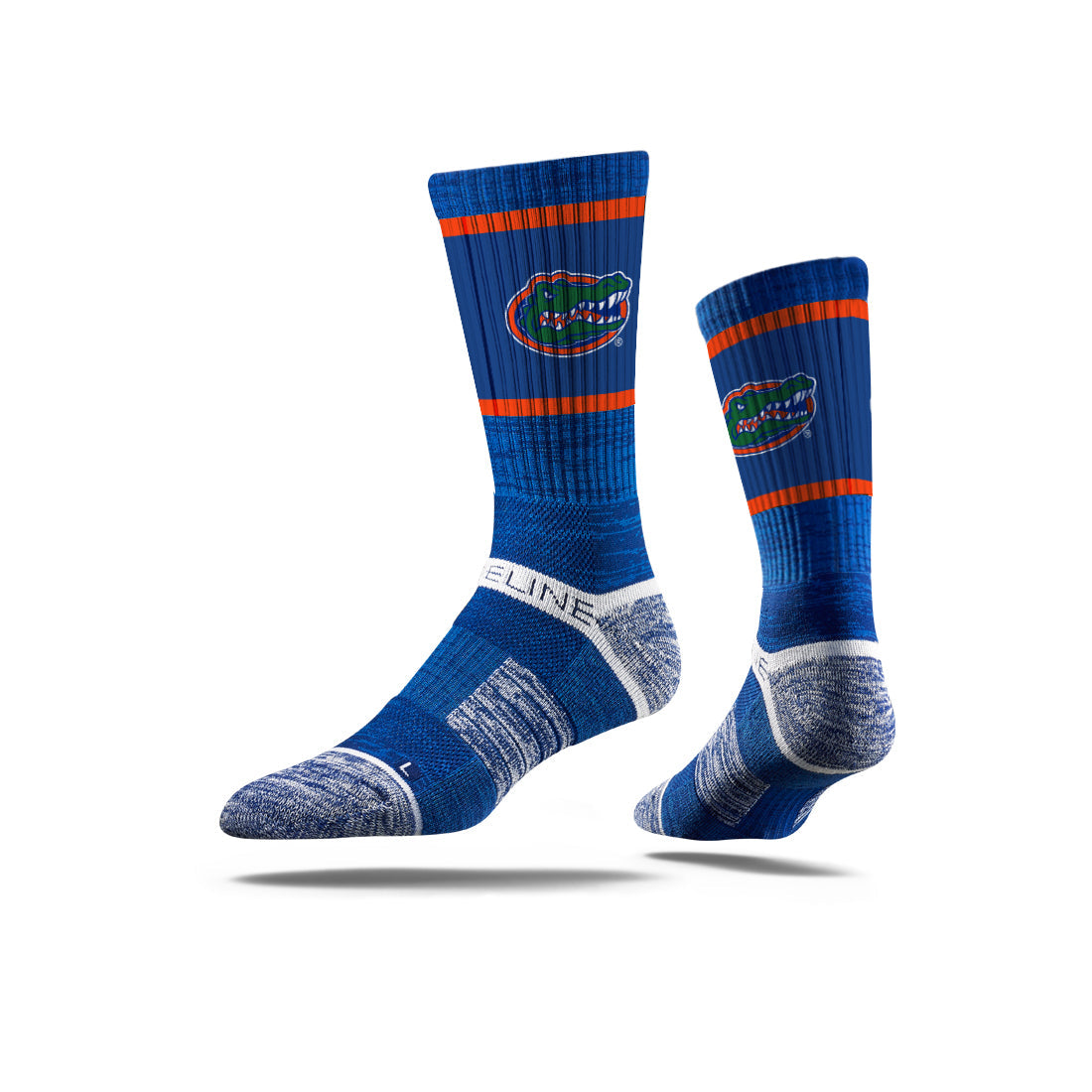 University of Florida