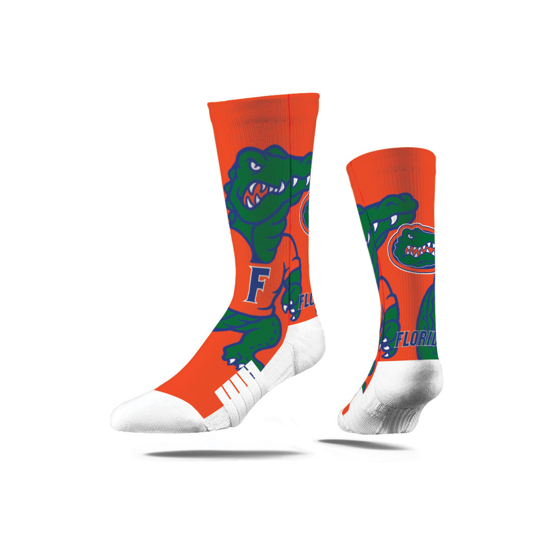 University of Florida