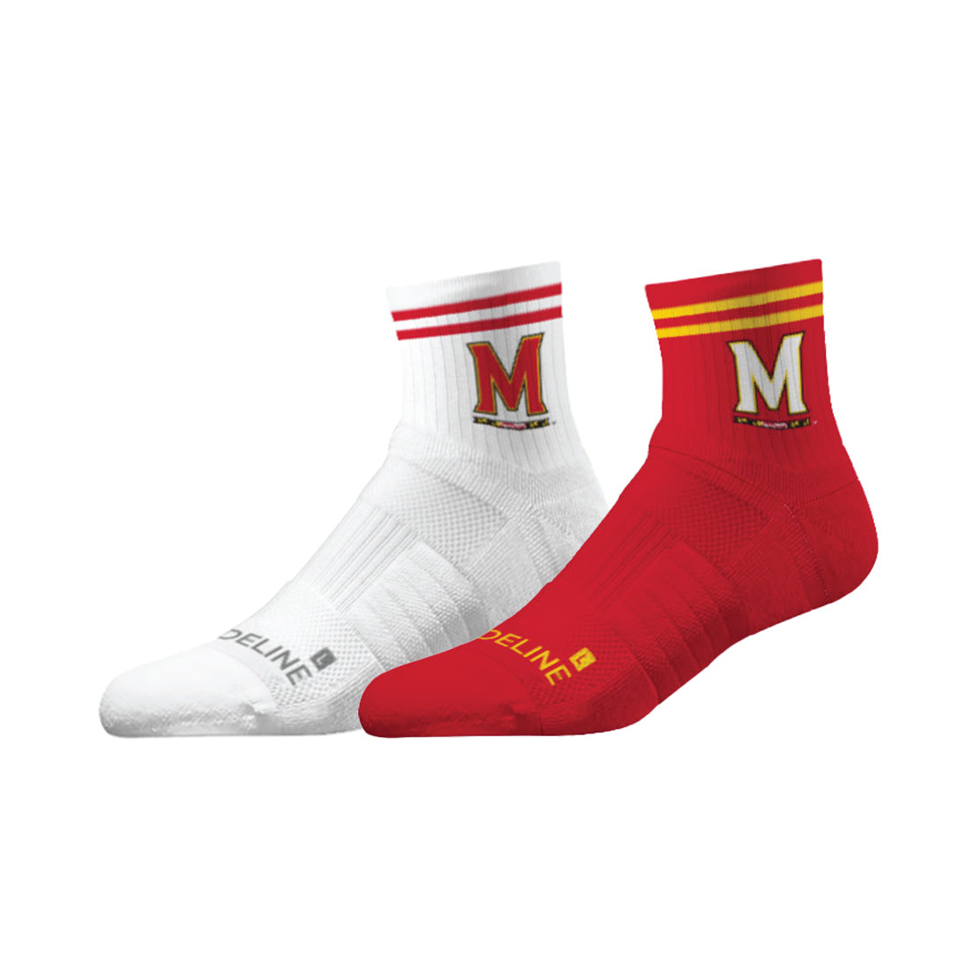 University of Maryland