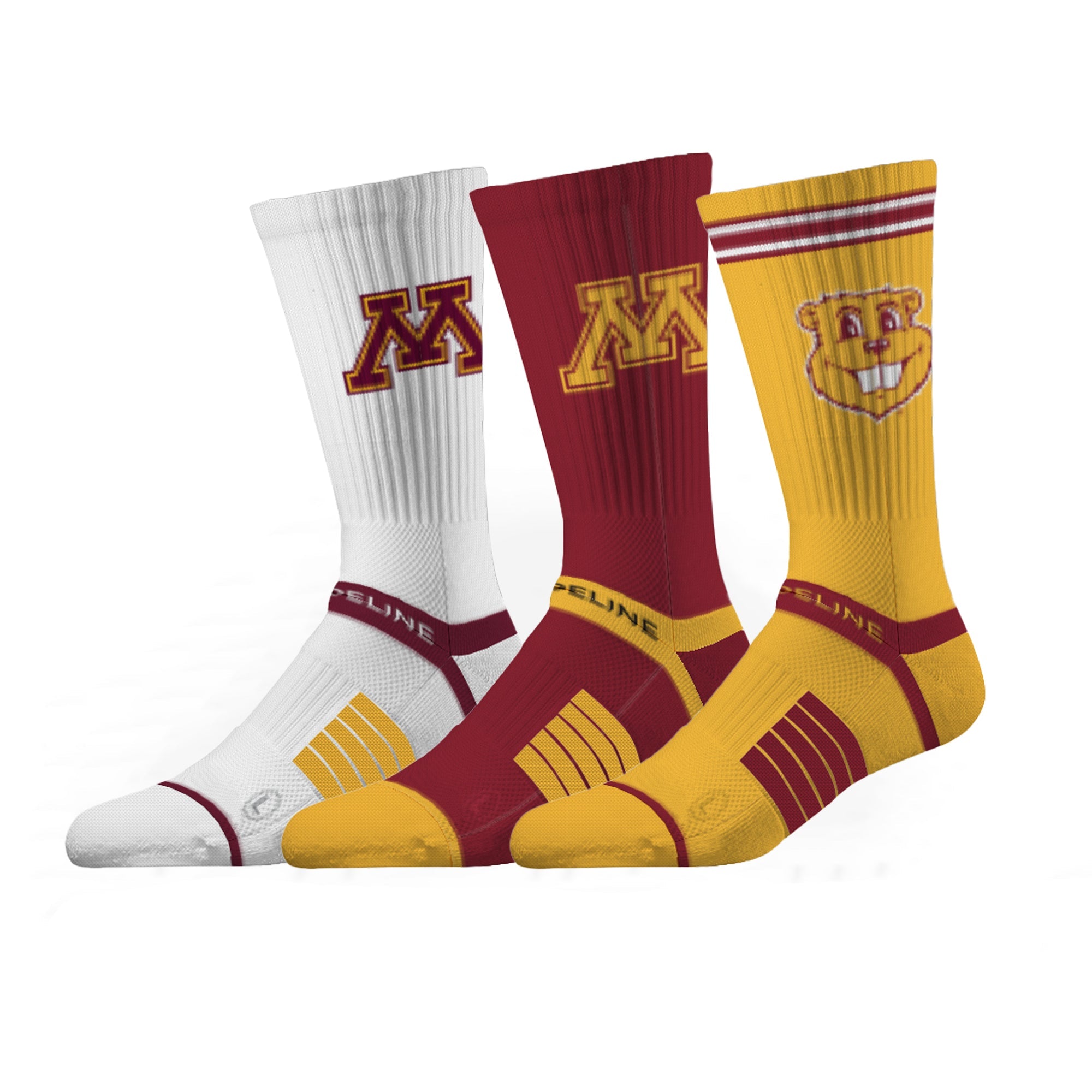 University of Minnesota