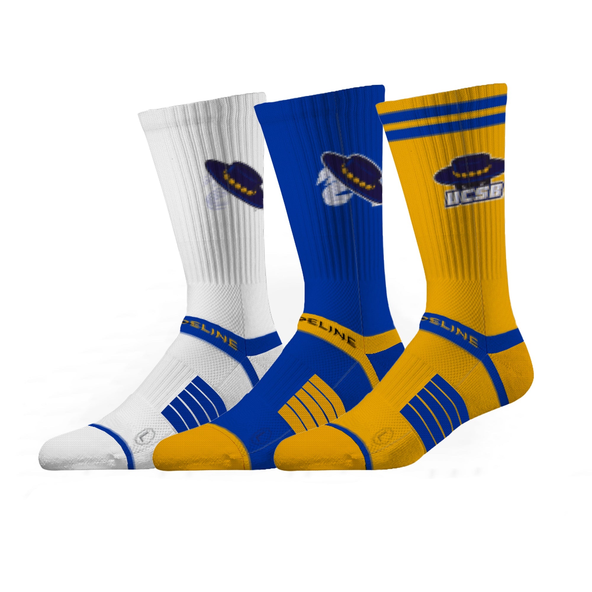 University of California Santa Barbara