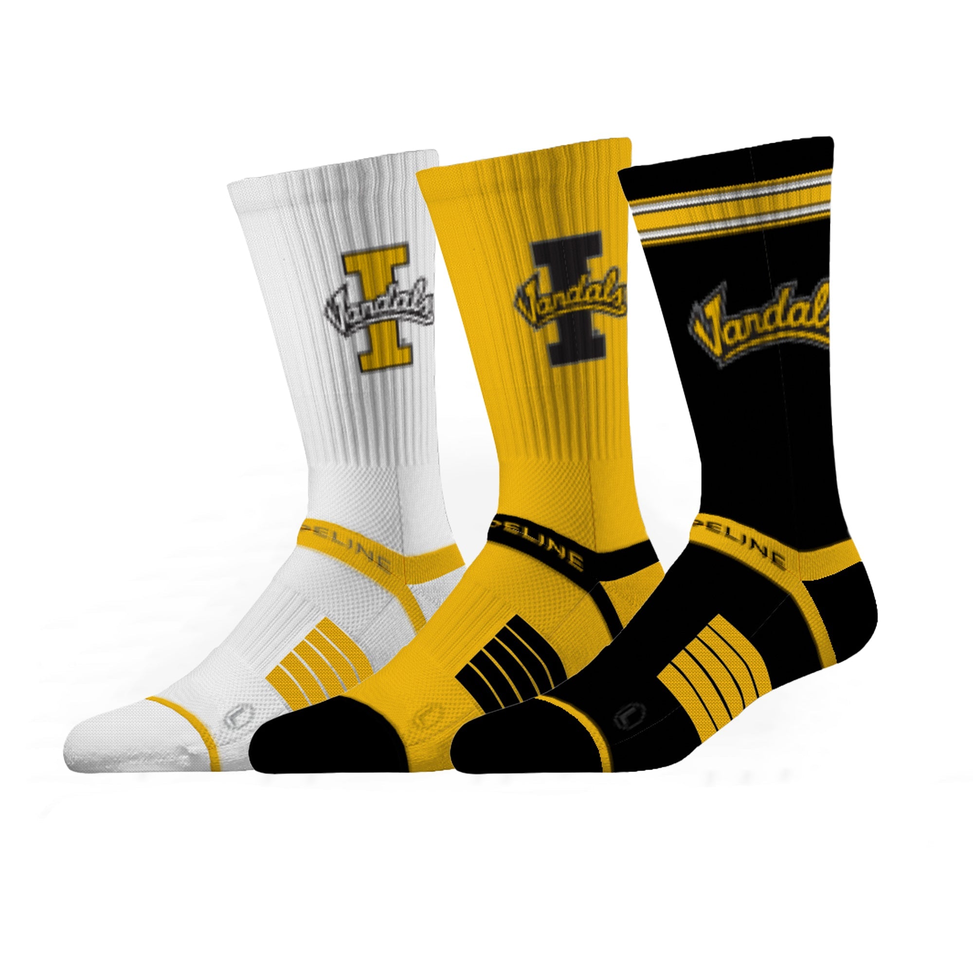 University of Idaho