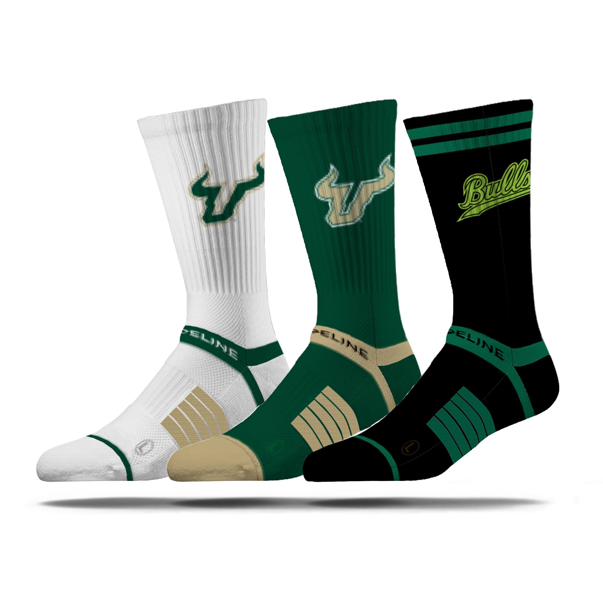 University of South Florida