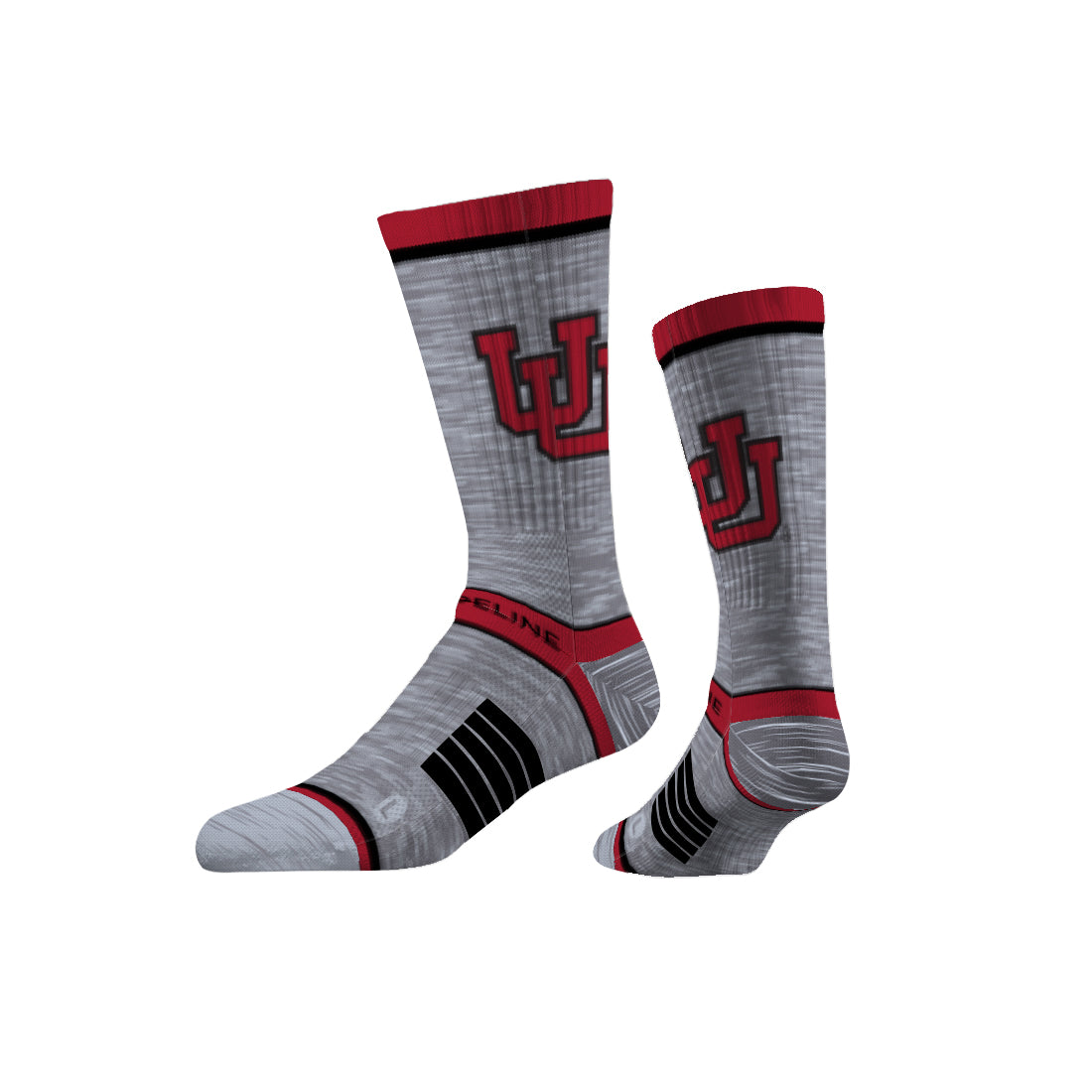 University of Utah