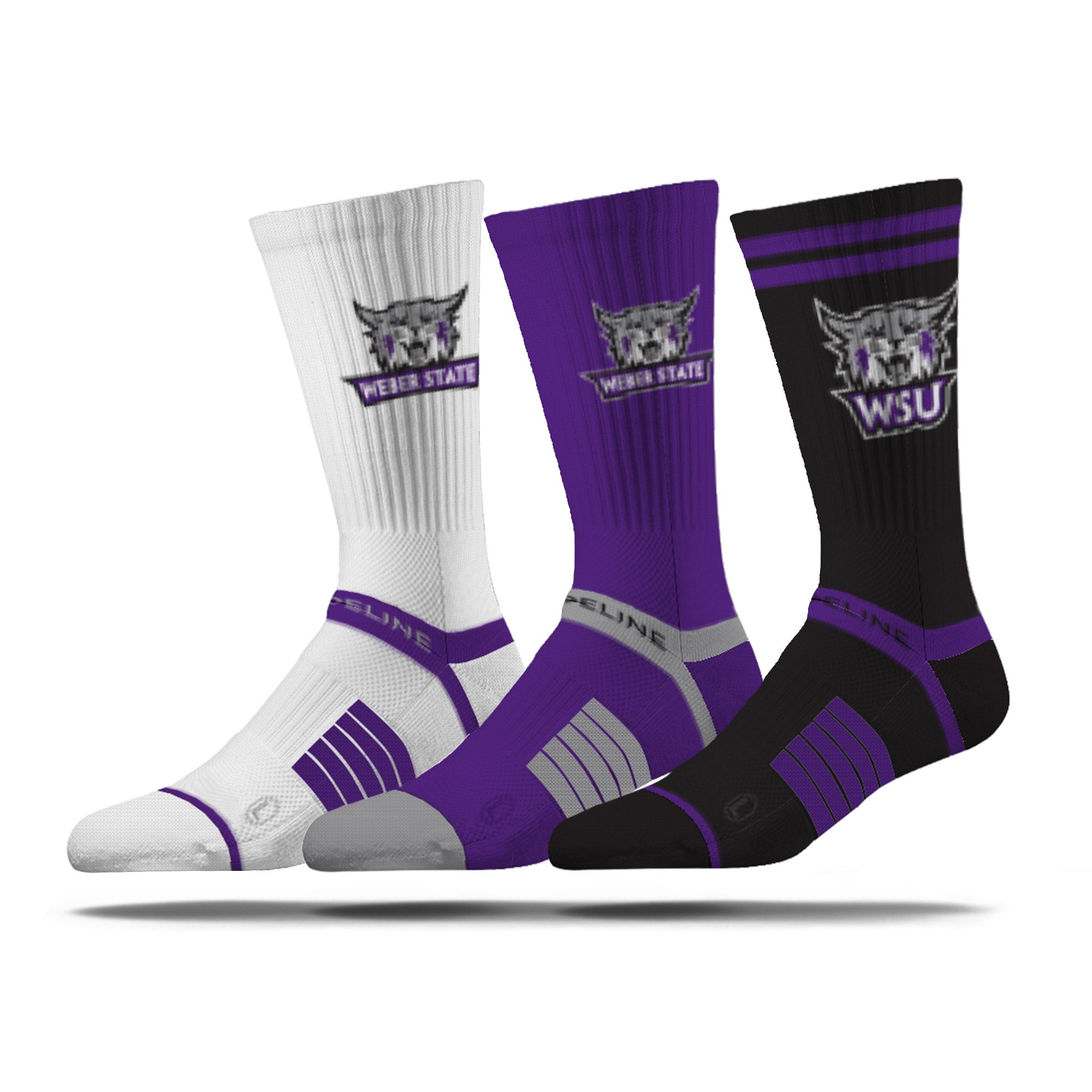 Weber State University