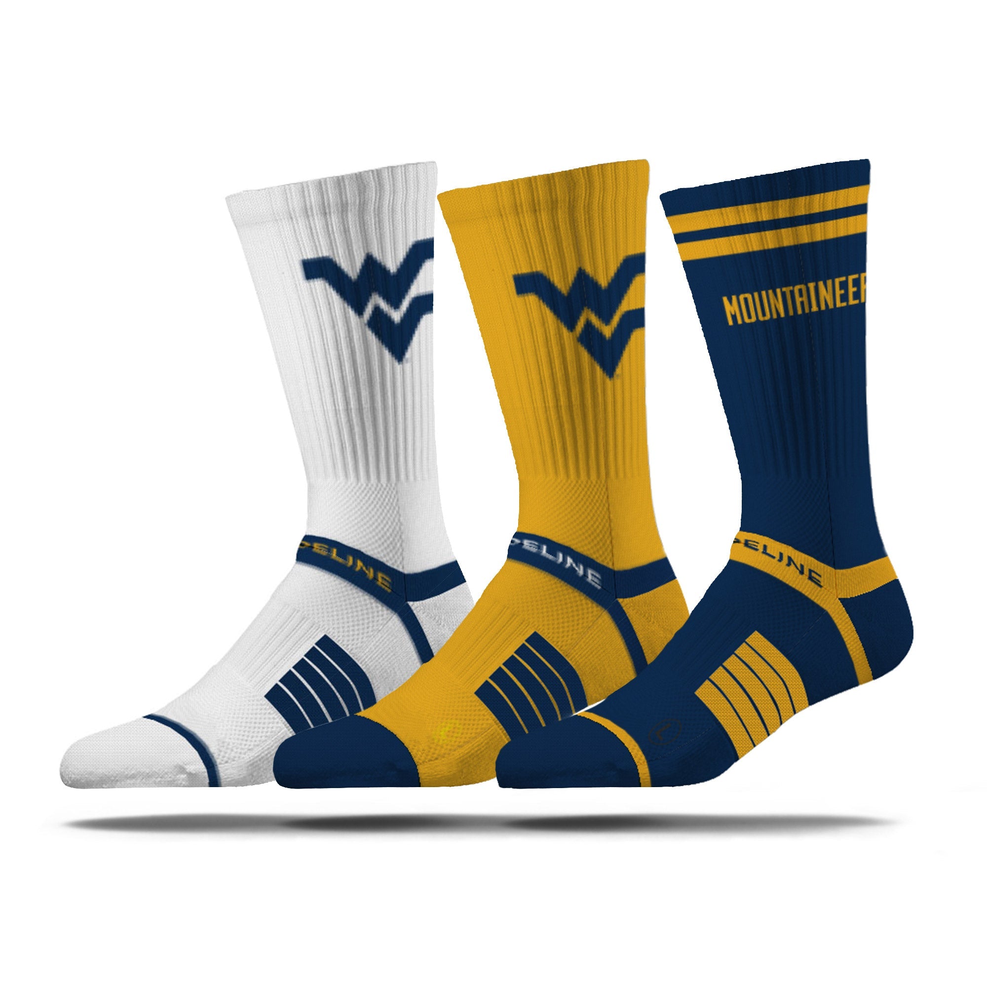 West Virginia University