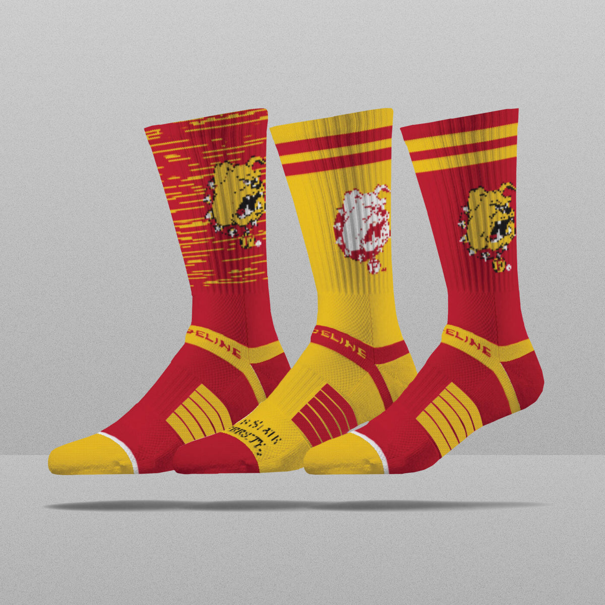 Ferris State University
