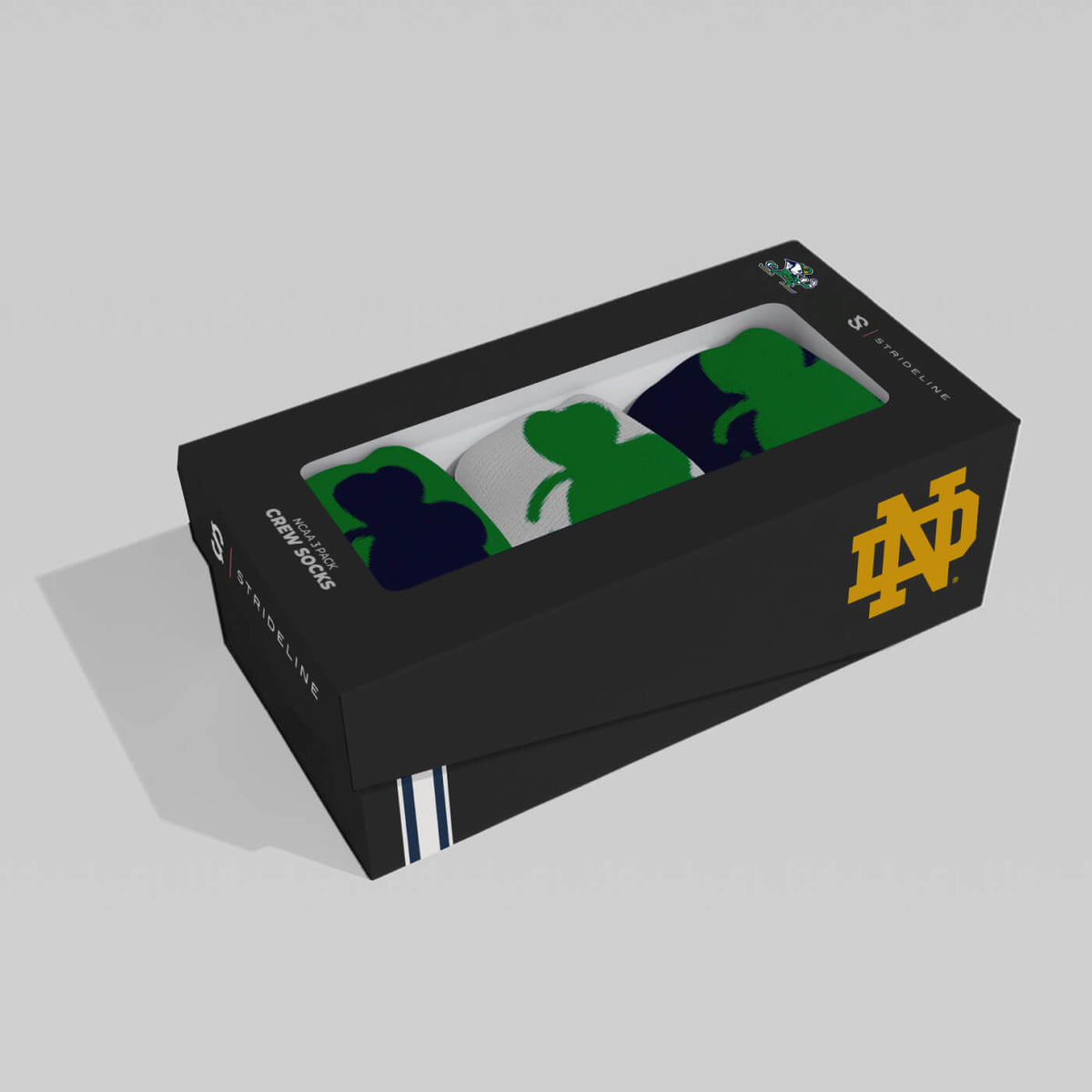 University of Notre Dame