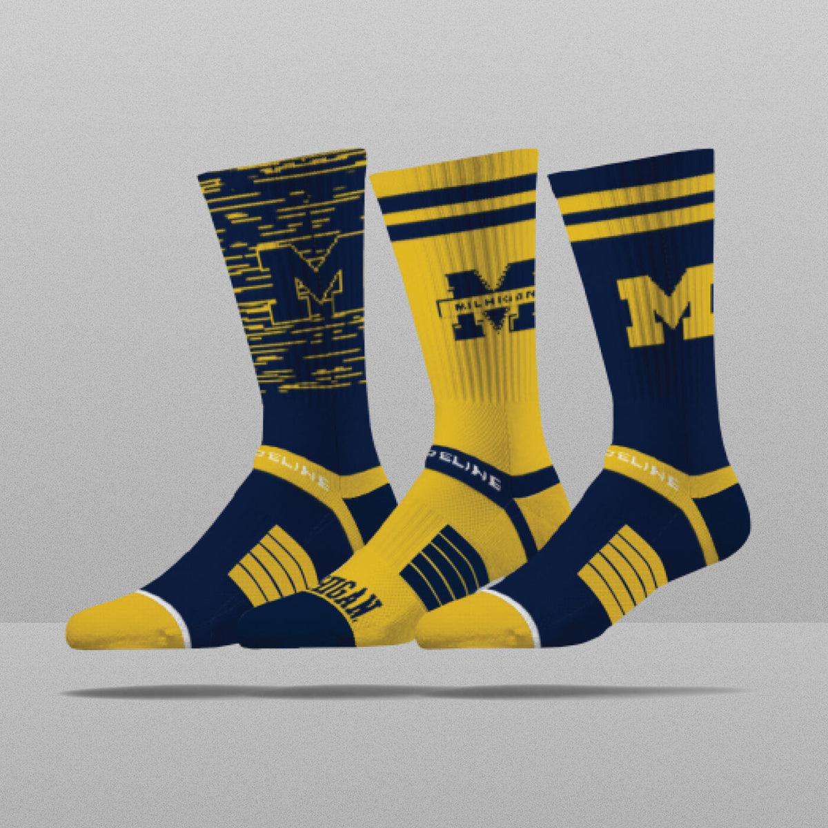 University of Michigan