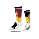 Arizona State University