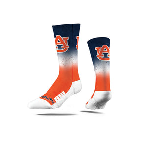 Auburn University
