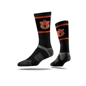 Auburn University