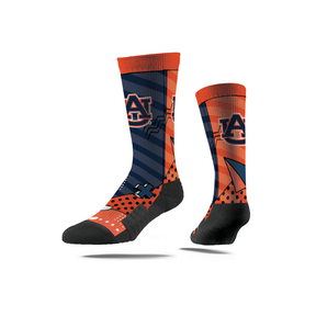 Auburn University