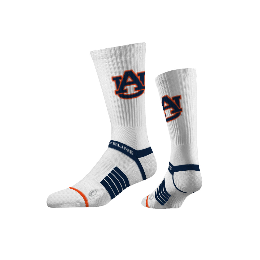 Auburn University
