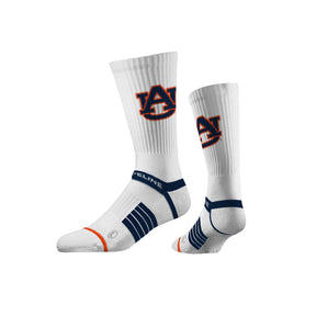 Auburn University