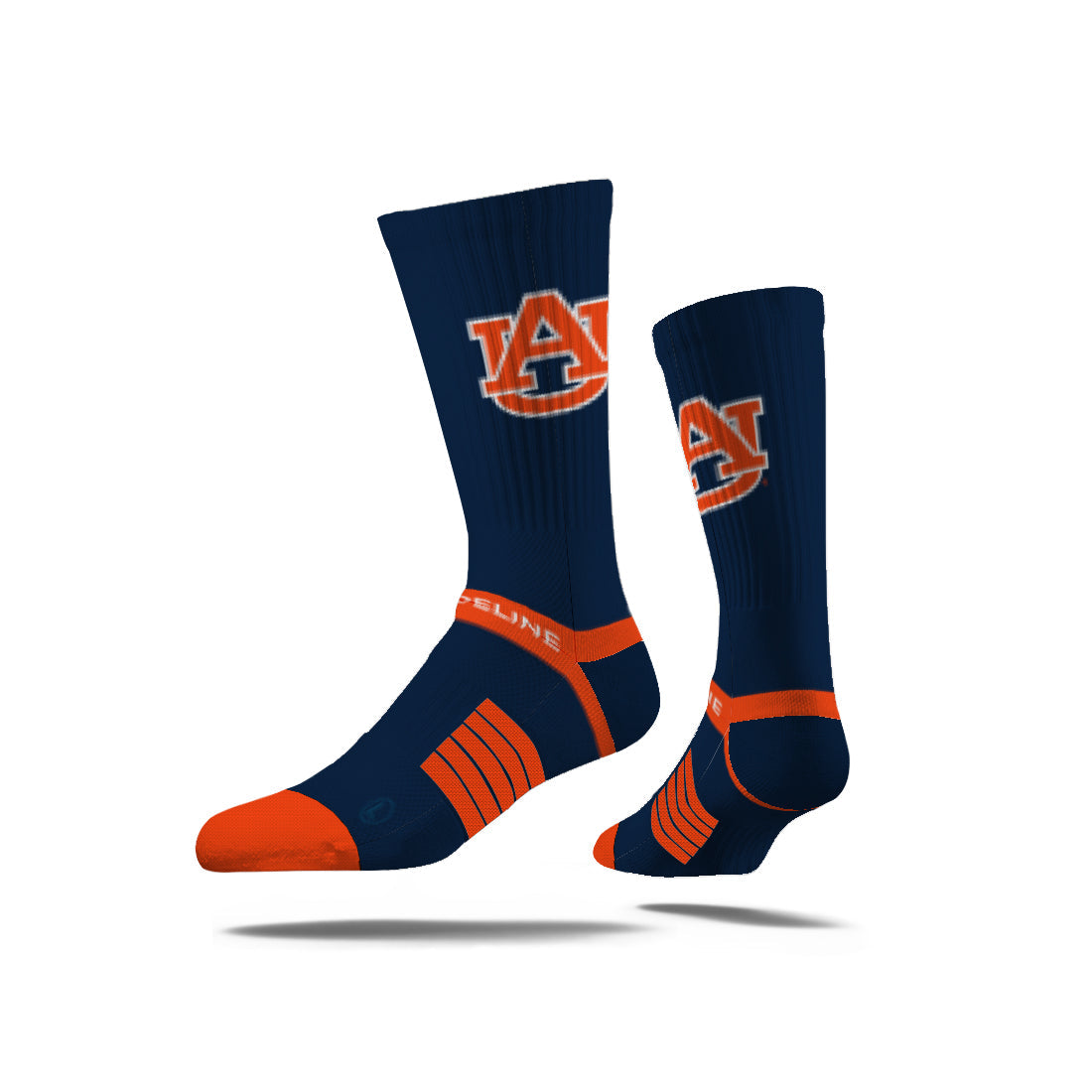 Auburn University
