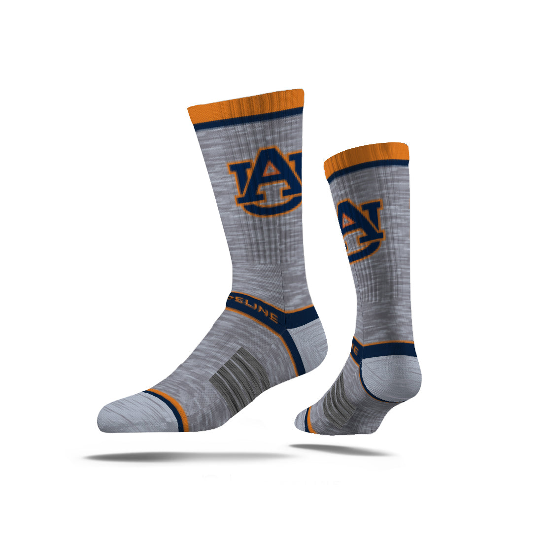 Auburn University