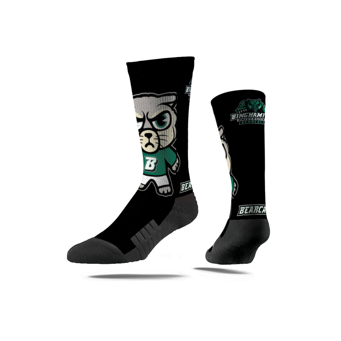 Binghamton University