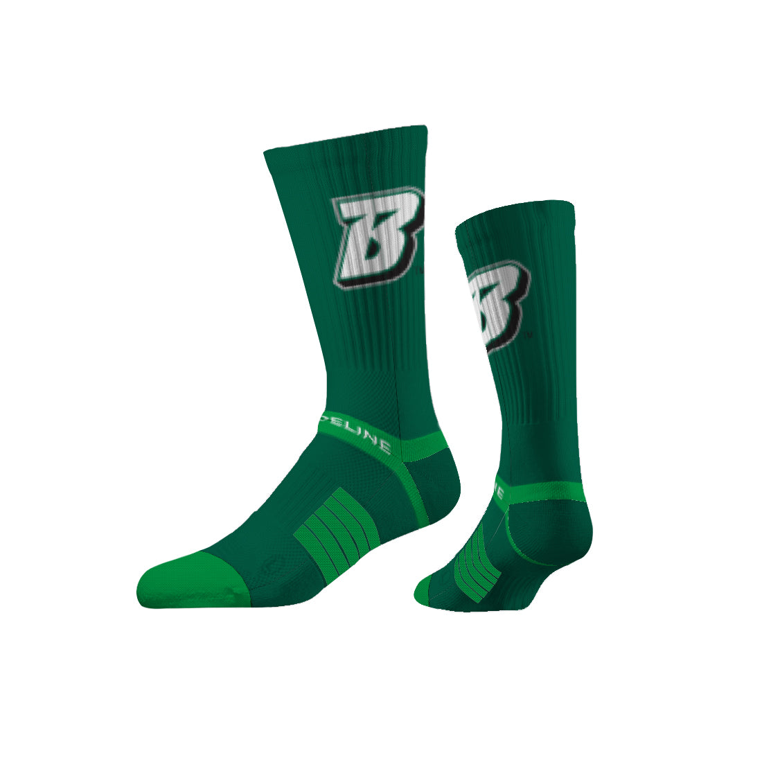 Binghamton University