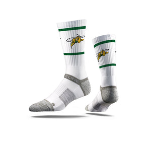Black Hills State University