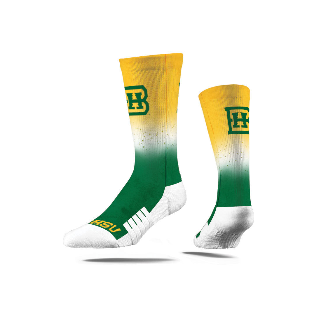 Black Hills State University