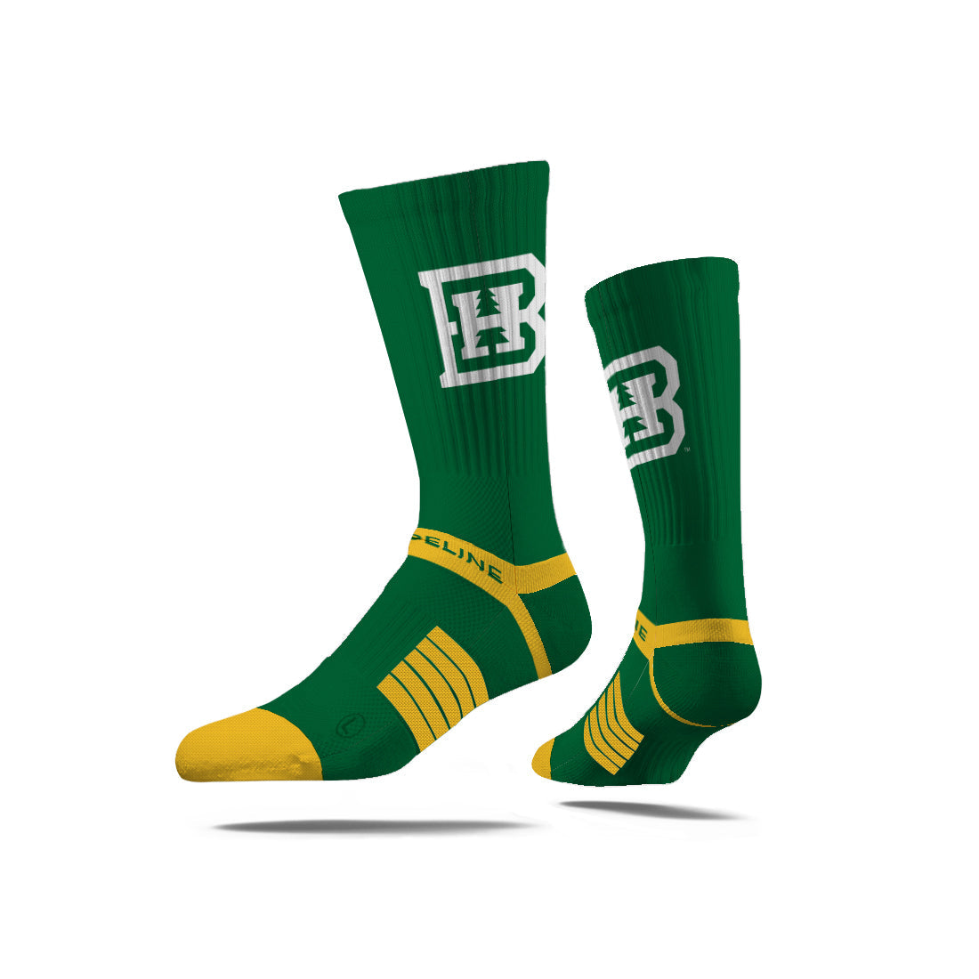 Black Hills State University