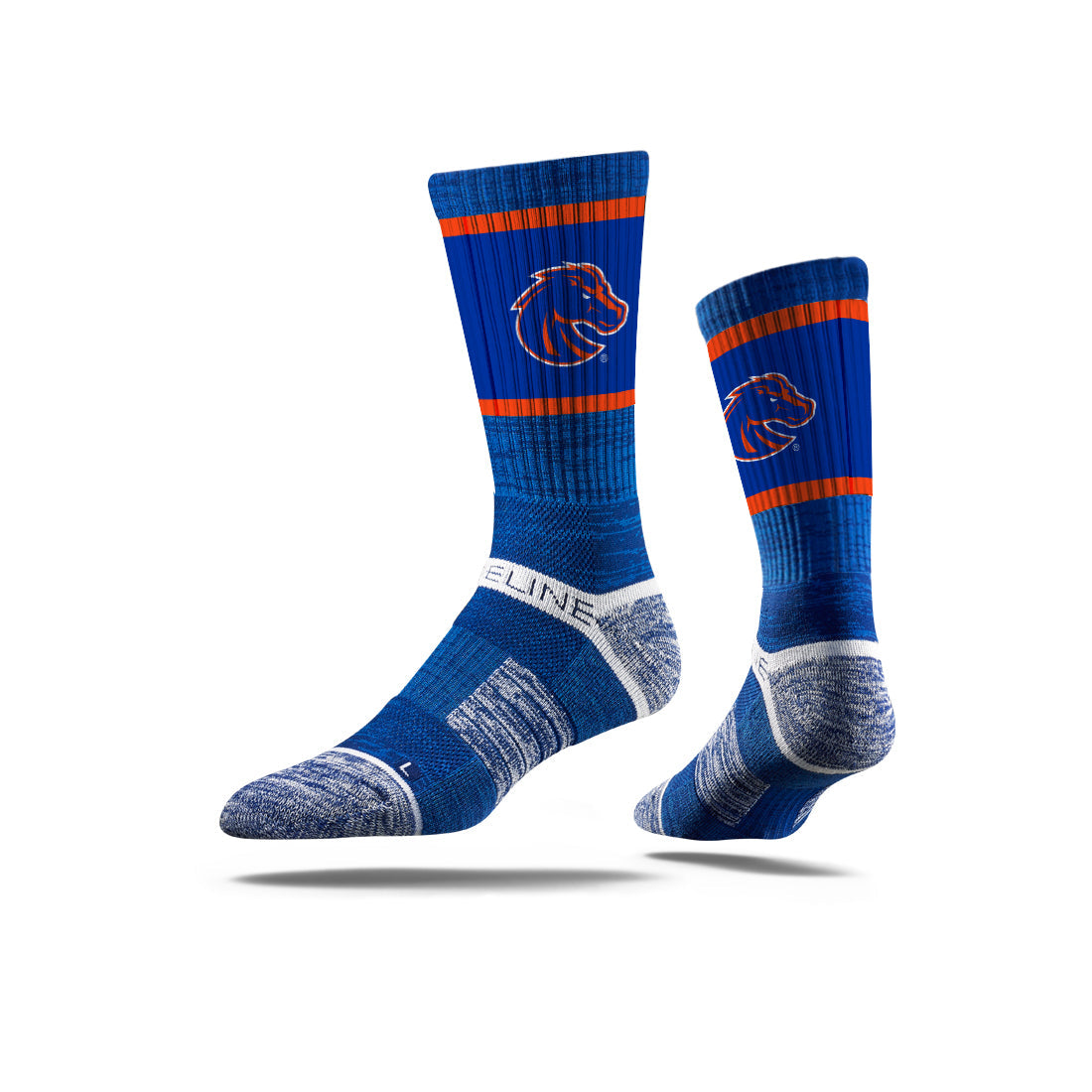 Boise State University