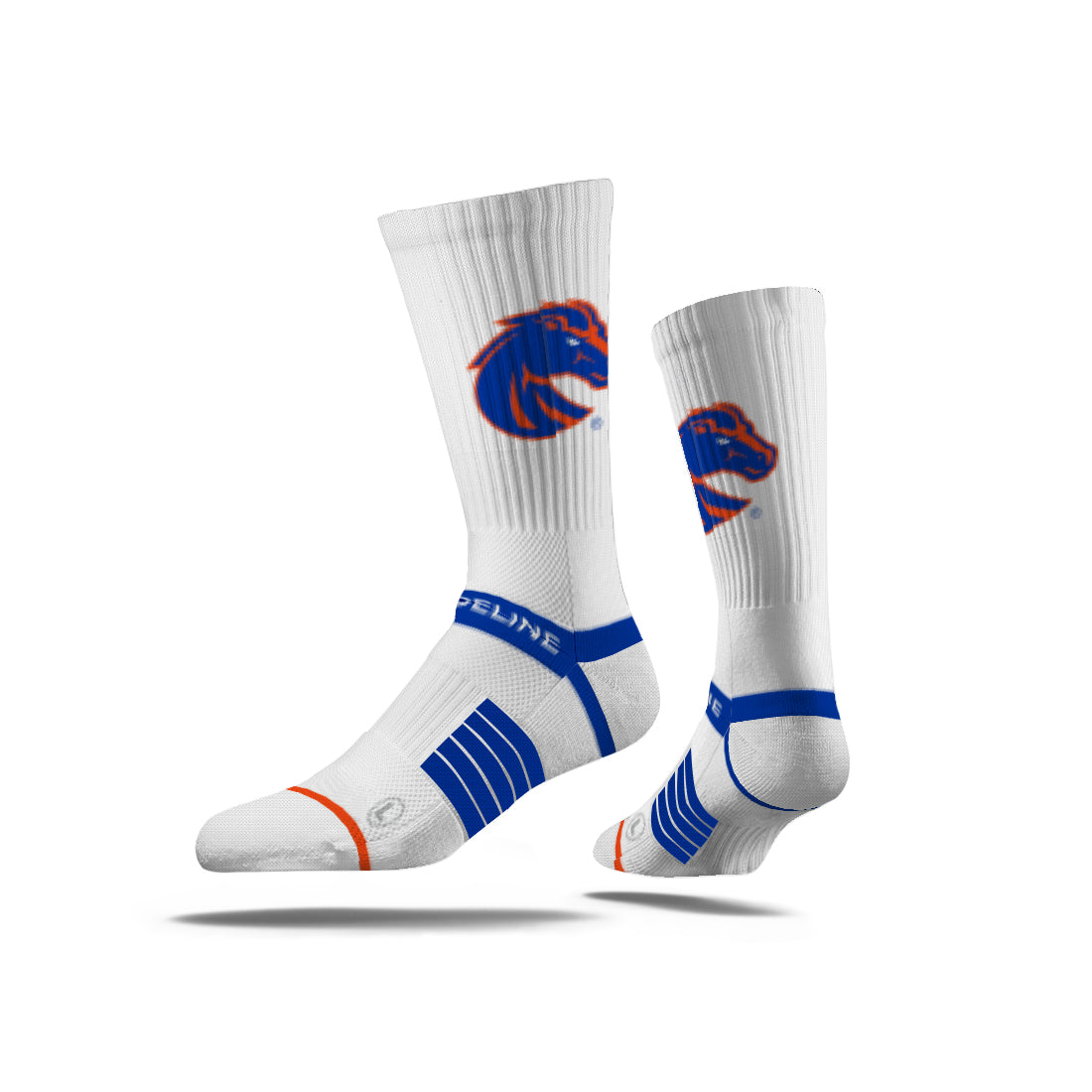 Boise State University