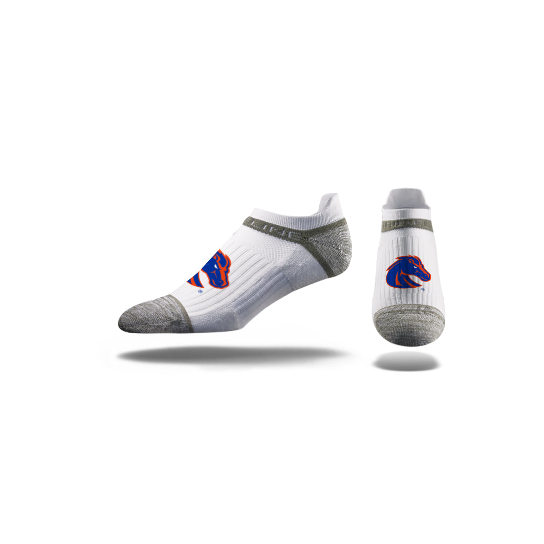 Boise State University