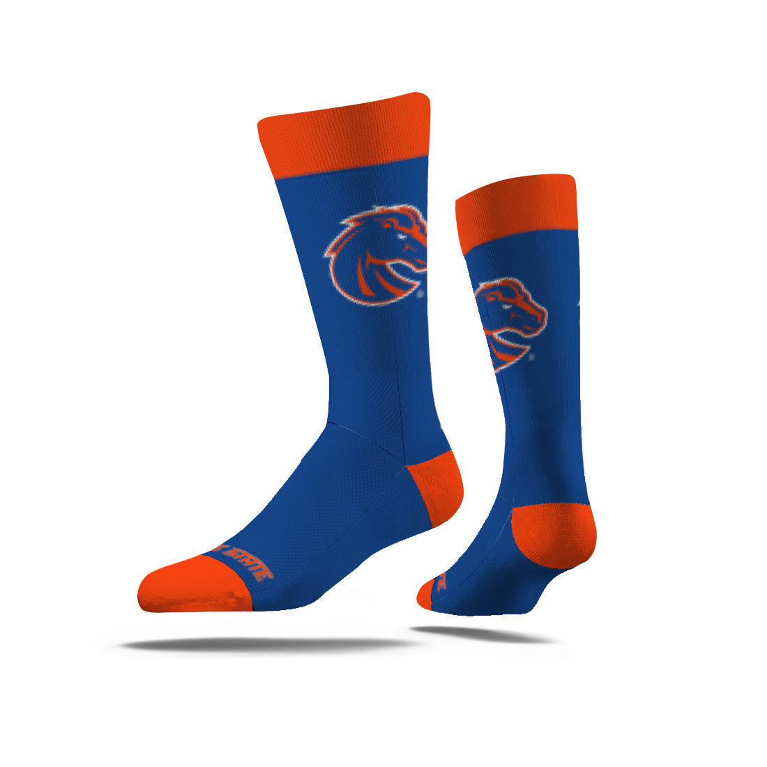 Boise State University