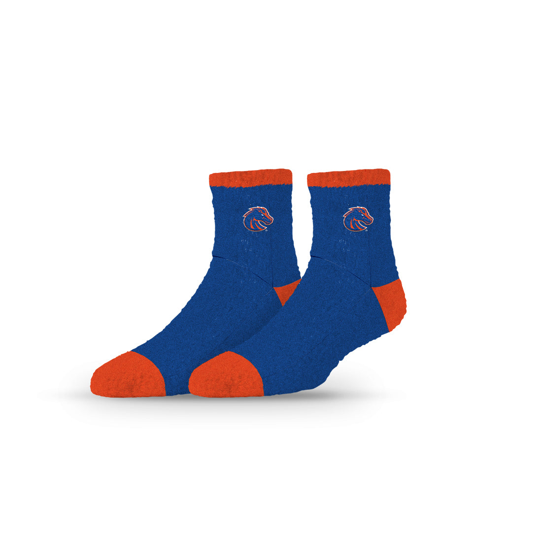 Boise State University