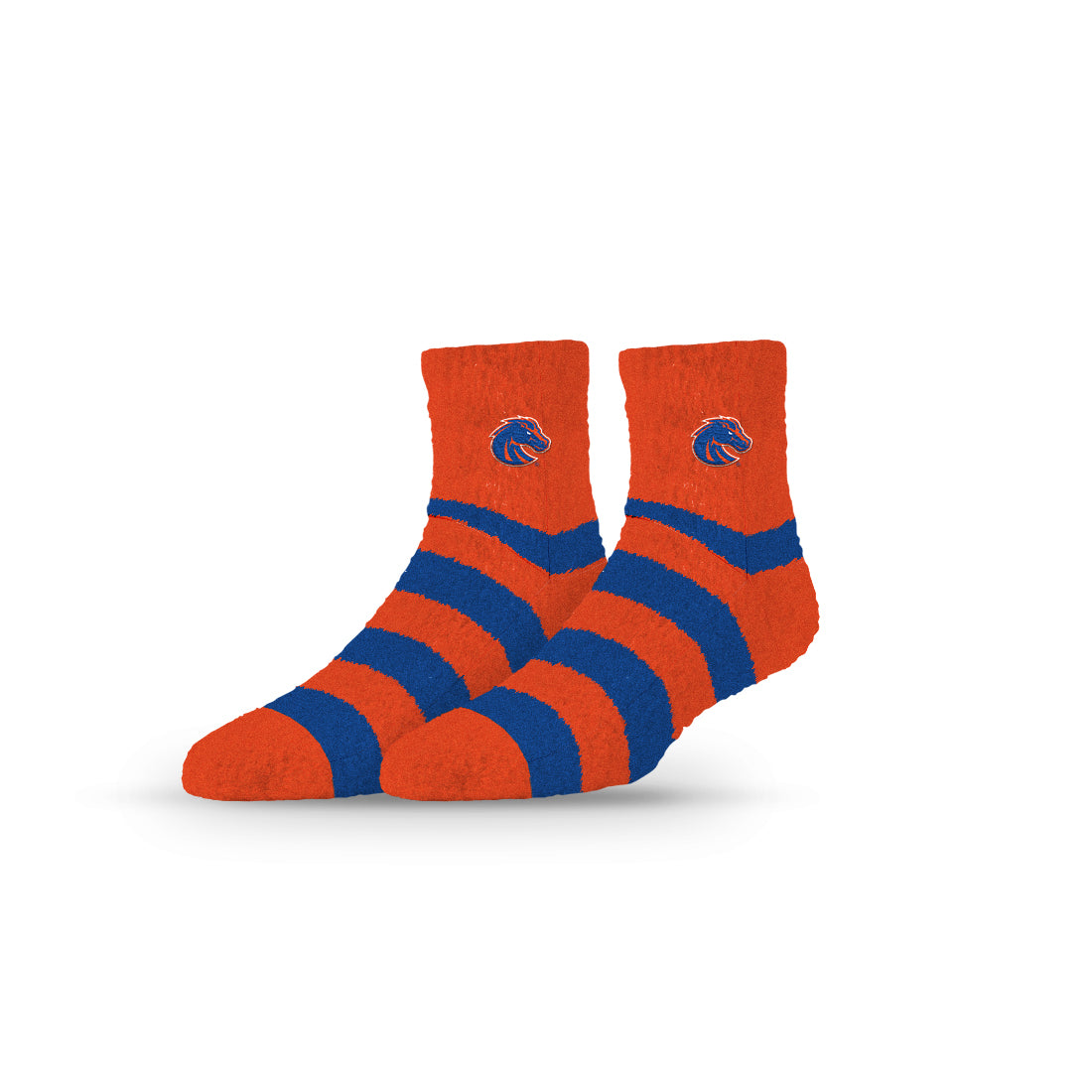 Boise State University