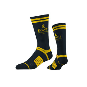 Bowie State University