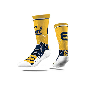 Cal Berkeley